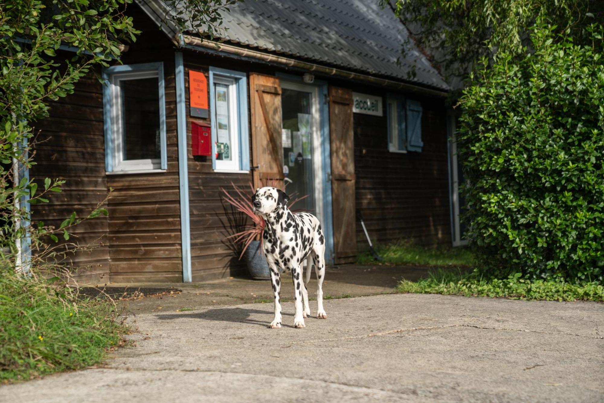 Campsite 4,6 Personnes Fecamp Etretat Colleville